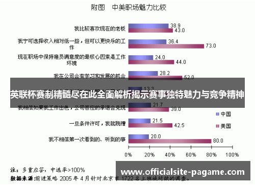 英联杯赛制精髓尽在此全面解析揭示赛事独特魅力与竞争精神