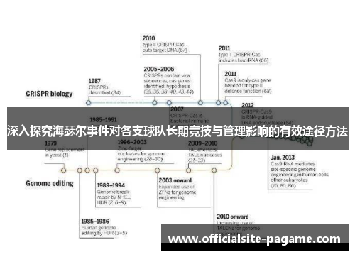 深入探究海瑟尔事件对各支球队长期竞技与管理影响的有效途径方法 深入探究海瑟尔事件对各支球队长期竞技与管理影响的有效途径方法