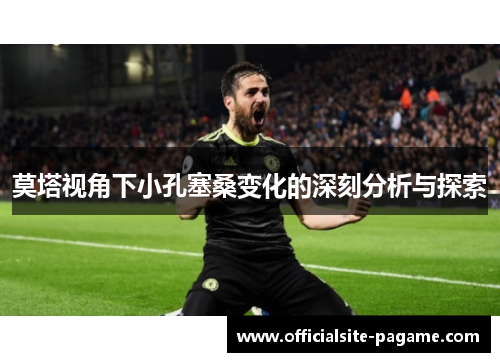 莫塔视角下小孔塞桑变化的深刻分析与探索