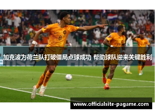 加克波为荷兰队打破僵局点球成功 帮助球队迎来关键胜利 加克波为荷兰队打破僵局点球成功 帮助球队迎来关键胜利
