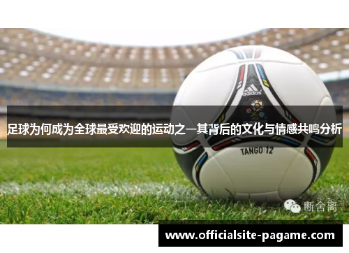 足球为何成为全球最受欢迎的运动之一其背后的文化与情感共鸣分析