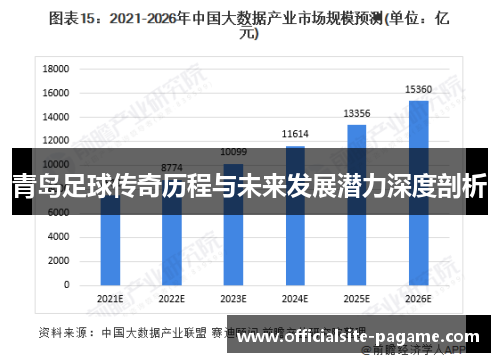 青岛足球传奇历程与未来发展潜力深度剖析