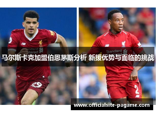 马尔斯卡克加盟伯恩茅斯分析 新援优势与面临的挑战