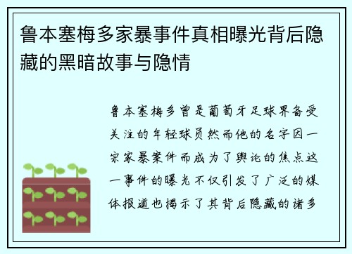 鲁本塞梅多家暴事件真相曝光背后隐藏的黑暗故事与隐情