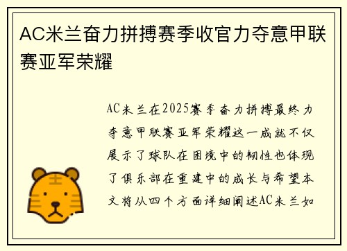 AC米兰奋力拼搏赛季收官力夺意甲联赛亚军荣耀